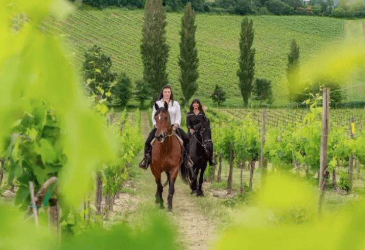 gita a cavallo esperienze Montepulciano villa lusso vacanze
